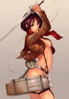 attack_on_titan_-_mikasa_20130914_047.jpg